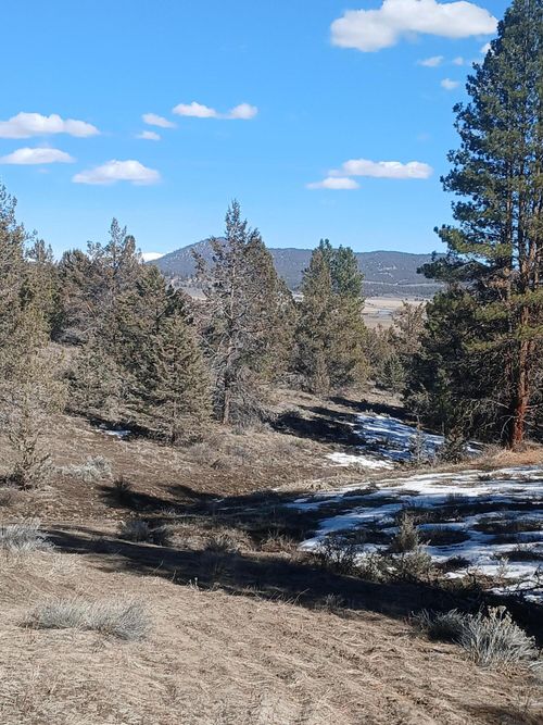 0 Drews Road, Beatty, OR, 97621 | Card Image