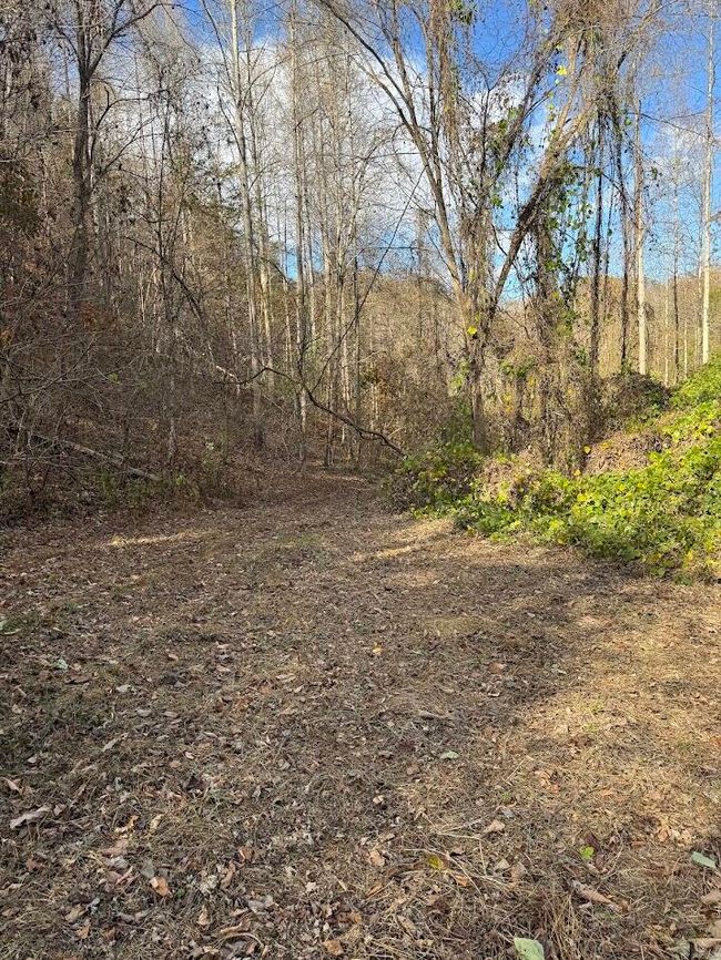 286 Willie Rd, House other with 2 bedrooms, 1 bathrooms and null parking in Thorn Hill TN | Image 5
