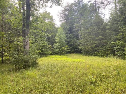 0 Baxter Norris Rd, Crab Orchard, TN, 37723 | Card Image