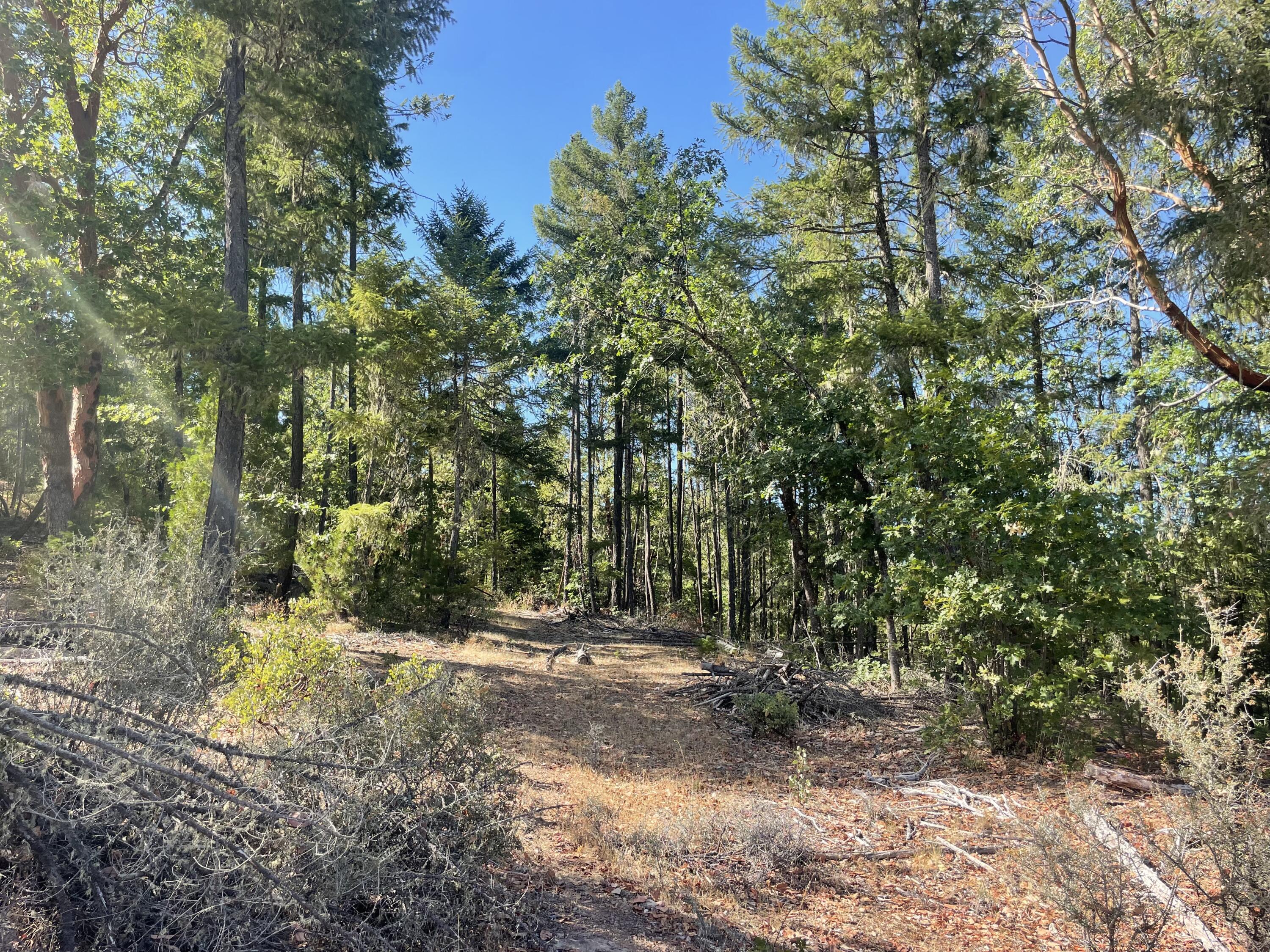 Land in Trail 2