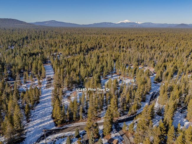 32_15450 pine tree dr - 32 | Image 30