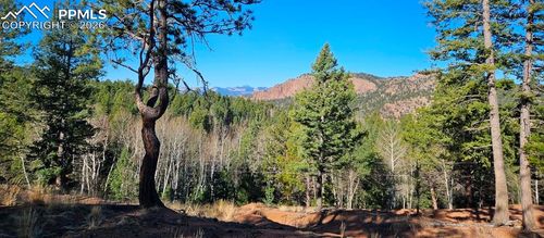 652 Derby Drive, Cripple Creek, CO, 80813 | Card Image