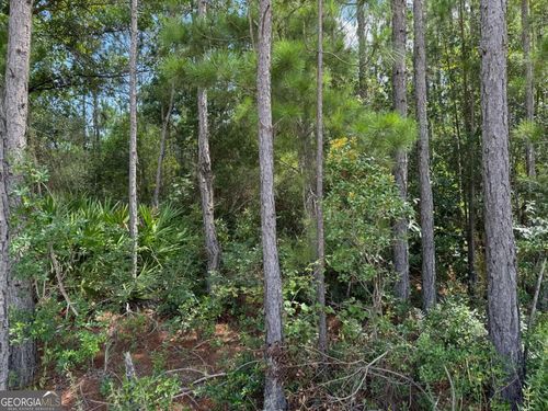0 Foster Steadham Rd, Baxley, GA, 31513 | Card Image