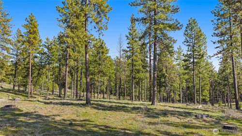 0 XXX Flying M, Cle Elum, WA, 98922 | Card Image