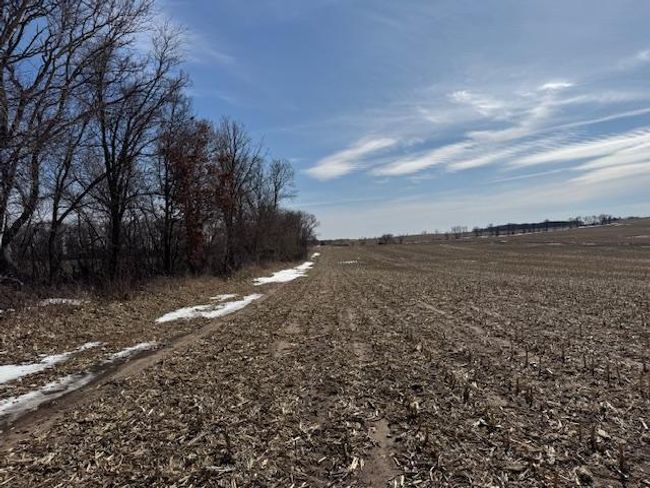 0000 County Road 61, Home with 0 bedrooms, 0 bathrooms and null parking in Browerville MN | Image 17
