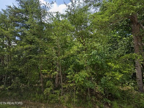 111 Wycliff Lane, Crossville, TN, 38558 | Card Image