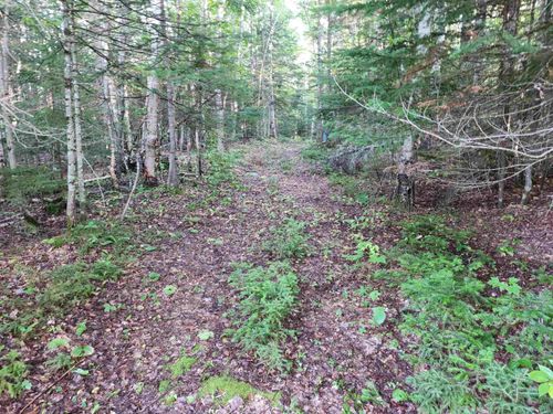 0000 Hampshire Woods Loop, Errol, NH, 03579 | Card Image