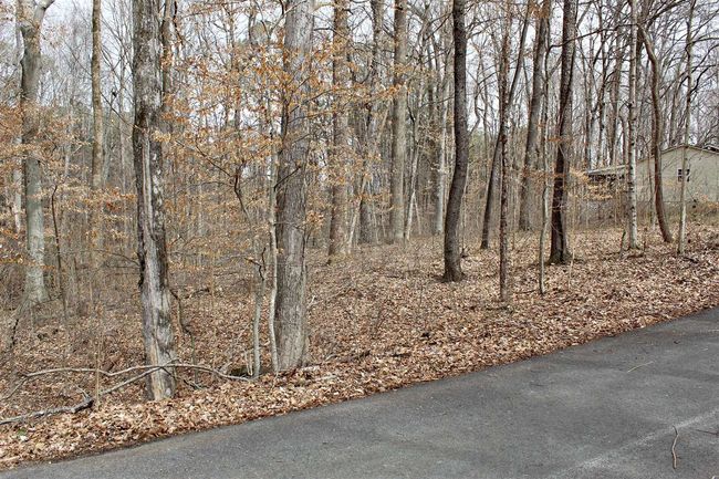 Lot 8 Yacht Club Rd, Home with 0 bedrooms, 0 bathrooms and null parking in Scottsville KY | Image 4