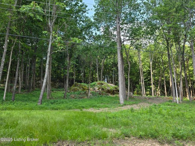 5 Cave Creek Rd, Home with 0 bedrooms, 0 bathrooms and null parking in Falls Of Rough KY | Image 9