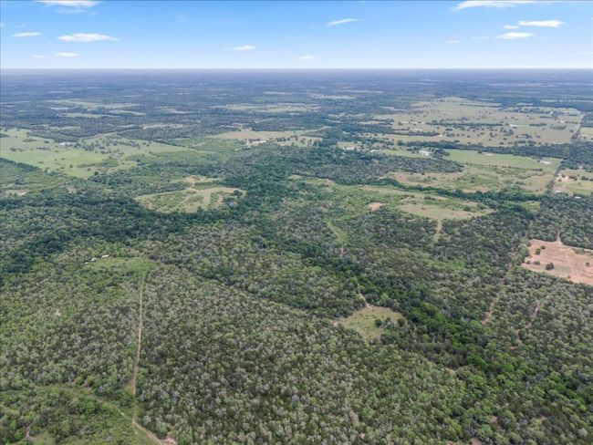 Drone / aerial view | Image 10