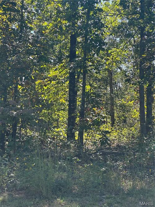 0 142e-24b, Doniphan, MO, 63935 | Card Image