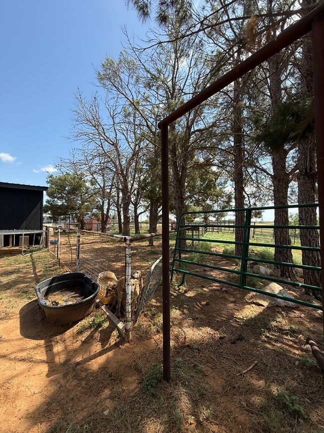 447 W Fm 1606, House other with 3 bedrooms, 2 bathrooms and 2 parking in Ira TX | Image 33