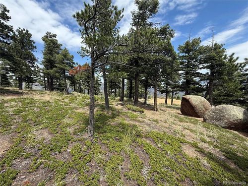 254 Grand Horizon Vw, Manitou Springs, CO, 80829 | Card Image