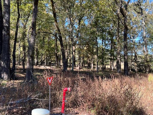 Land in Broken Bow 2