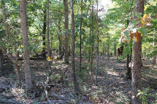 2231 Shady Ridge Road, Home with 0 bedrooms, 0 bathrooms and null parking in Kansas OK | Image 4