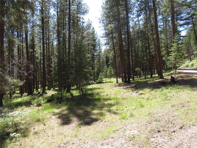 13567 Rosco Rd, House other with 3 bedrooms, 2 bathrooms and null parking in Alberton MT | Image 29