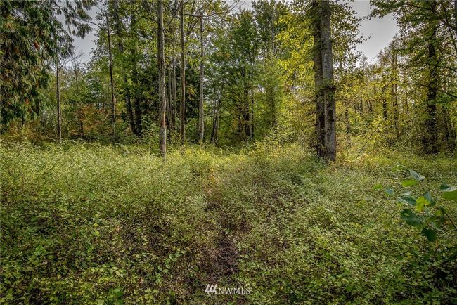 200 E Stuart Rd, Home with 0 bedrooms, 0 bathrooms and null parking in Bellingham WA | Image 17