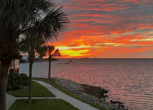 9-112-5000 Culbreath Key Way, TAMPA, FL, 33611 | Card Image