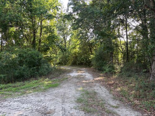 0 Reevesville Rd, Reevesville, SC, 29471 | Card Image