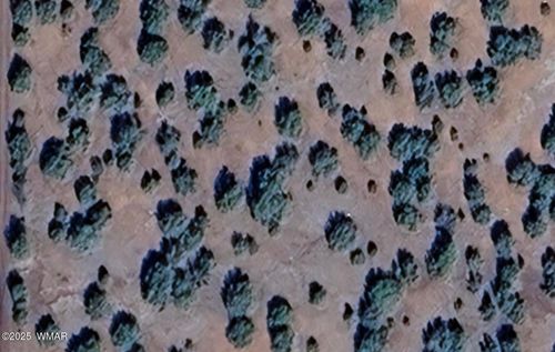 16 County Road 8136, Concho, AZ, 85924 | Card Image