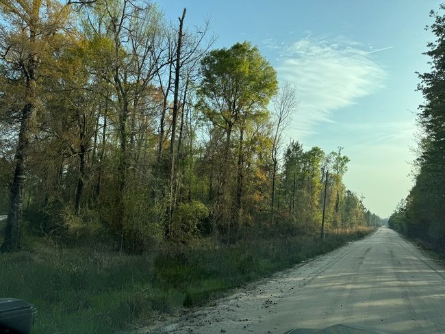 1139 Henry Walcott Rd Nw, Home with 0 bedrooms, 0 bathrooms and null parking in Ludowici GA | Image 8