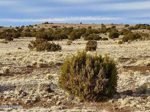 --TBD Co Rd 5150 1.22 Acres --, Concho, AZ, 85924 | Card Image