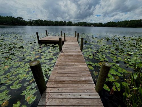 313 Riley Lake Drive, HAWTHORNE, FL, 32640 | Card Image