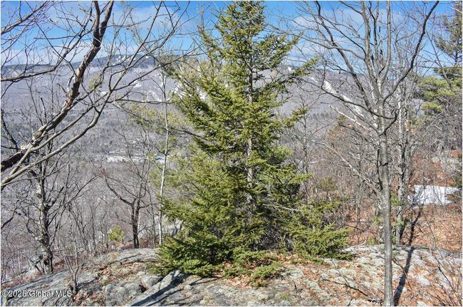 48 Durkin Rd, Home with 0 bedrooms, 0 bathrooms and null parking in North Creek NY | Image 26