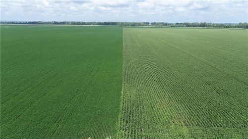 Tract 1 N Of Cranberry Bend Road, Waverly, MO, 64096 | Card Image