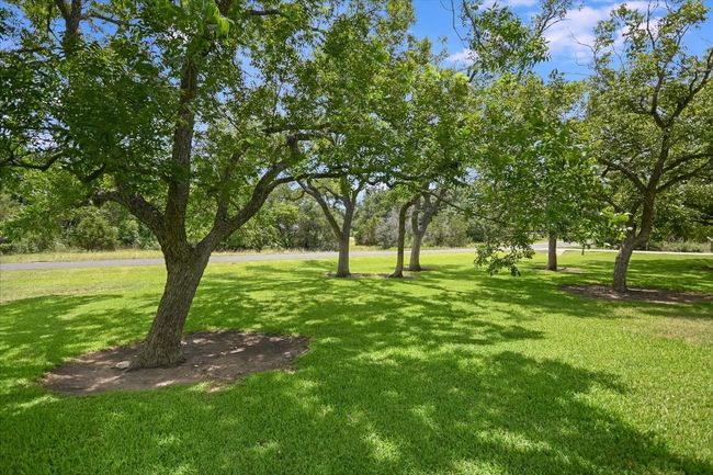Manicured yard and trees with fully automated sprinklers. | Image 6