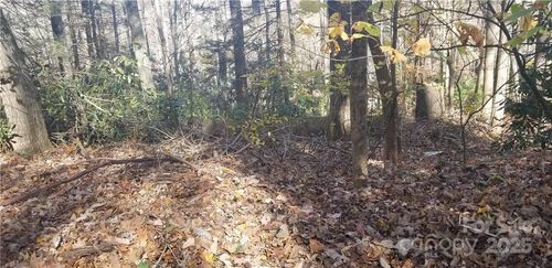 Lot C31 Shady Ln, Maggie Valley, NC, 28751 | Card Image