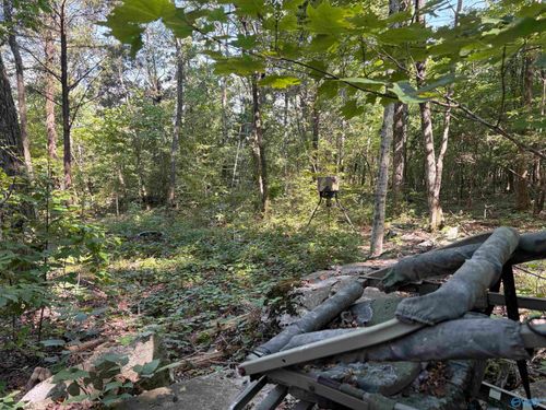 20.5 ac County Road 491, Stevenson, AL, 35772 | Card Image