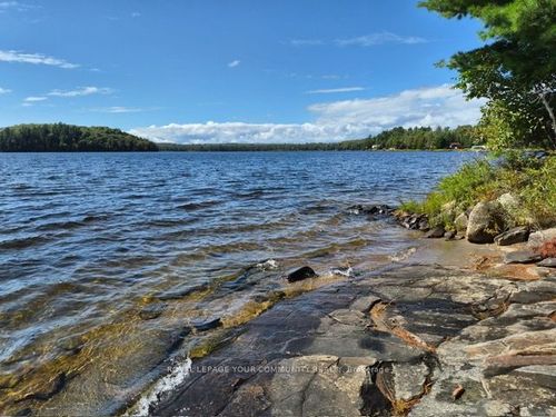 2193 Fern Glen Rd, Emsdale, ON, P0A1J0 | Card Image