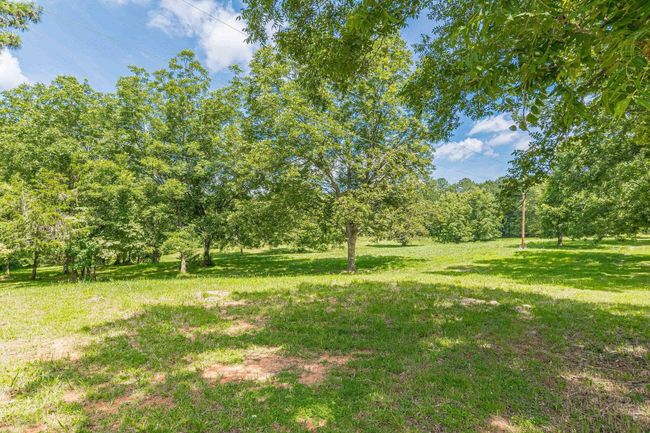 1130 Coan Dr, Home with 3 bedrooms, 2 bathrooms and null parking in Locust Grove GA | Image 58