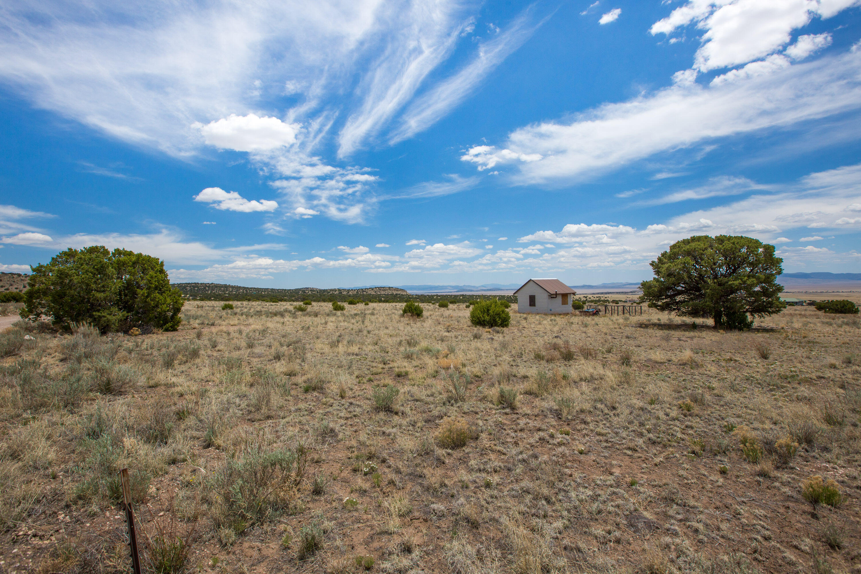 Land in Datil 4