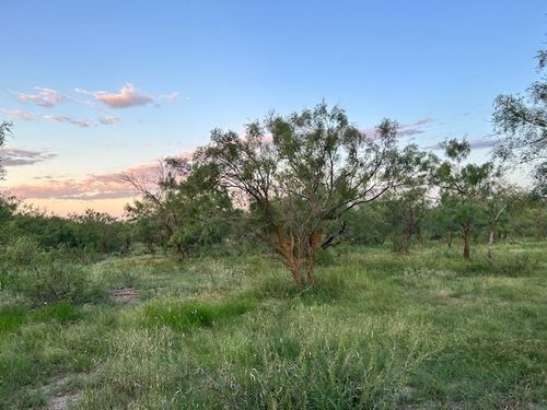 587 Valley Rd, Eldorado, TX, 76936 | Card Image