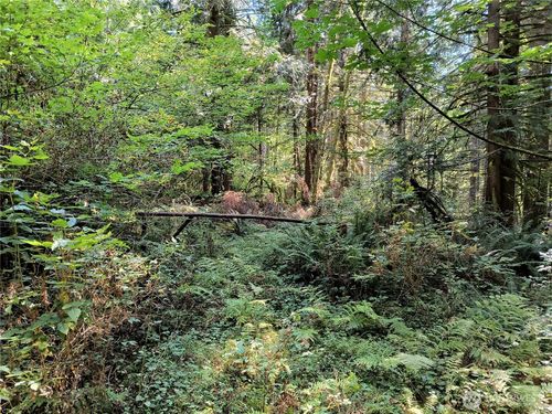 300000 Daggart Lake Road, Monroe, WA, 98272 | Card Image