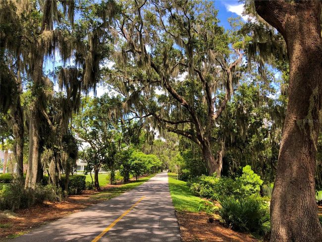 15208 Lake Claire Overlook Dr, House other with 5 bedrooms, 4 bathrooms and null parking in WINTER GARDEN FL | Image 85