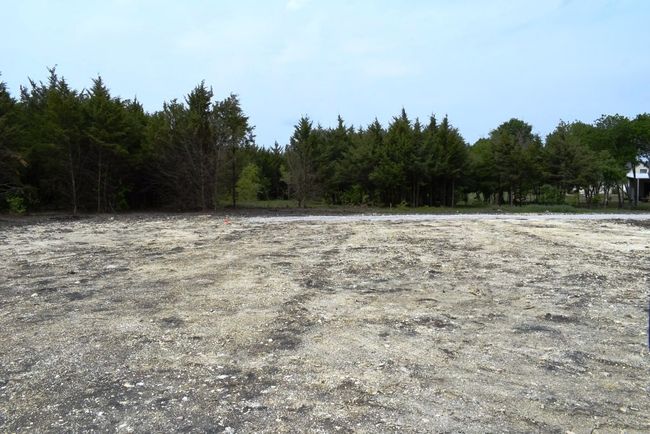 View of yard featuring a view of trees | Image 13