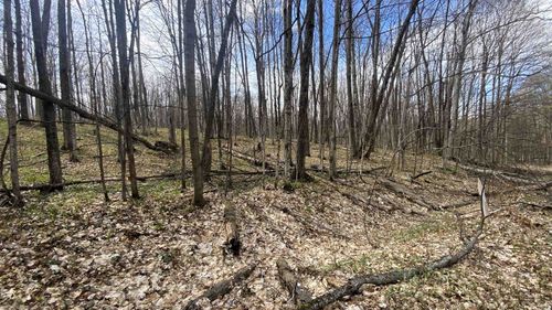 Lots 292-293 Jaeger Strasse, Kearney Township, MI, 49615 | Card Image