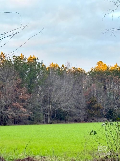 0 Ward Rd, Frisco City, AL, 36445 | Card Image