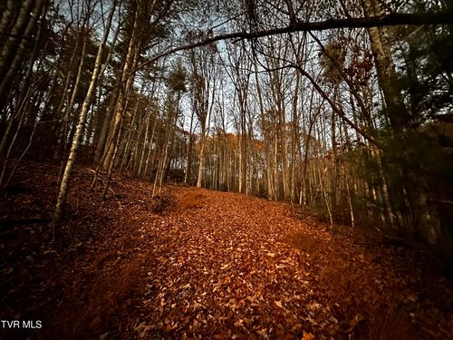 Tbd Log Cabin Road, Greeneville, TN, 37743 | Card Image