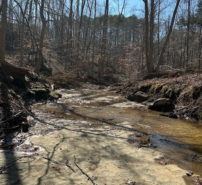Lot 3 Oklahoma Rd, Home with 0 bedrooms, 0 bathrooms and null parking in Bee Spring KY | Image 13