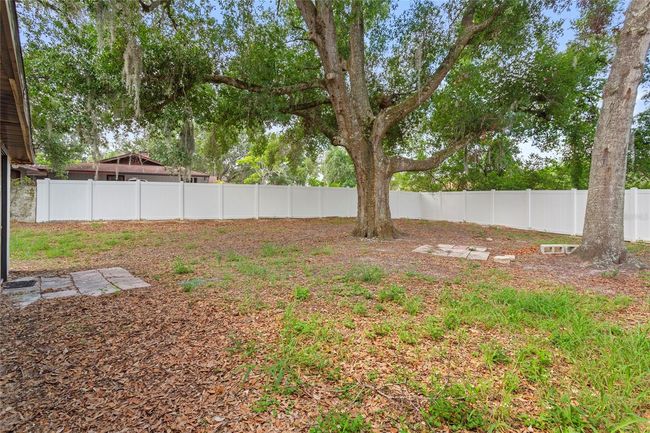 Backyard | Image 40