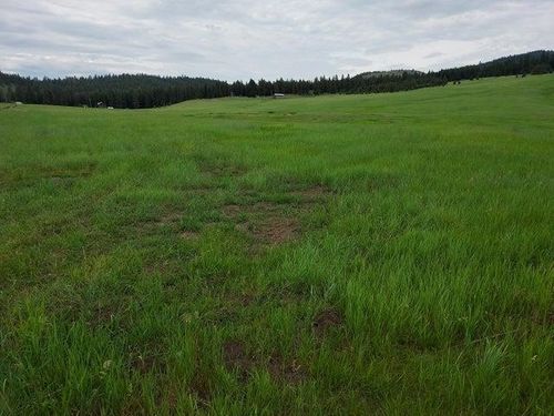 37 Old Ranch House Rd, Republic, WA, 99166-9564 | Card Image