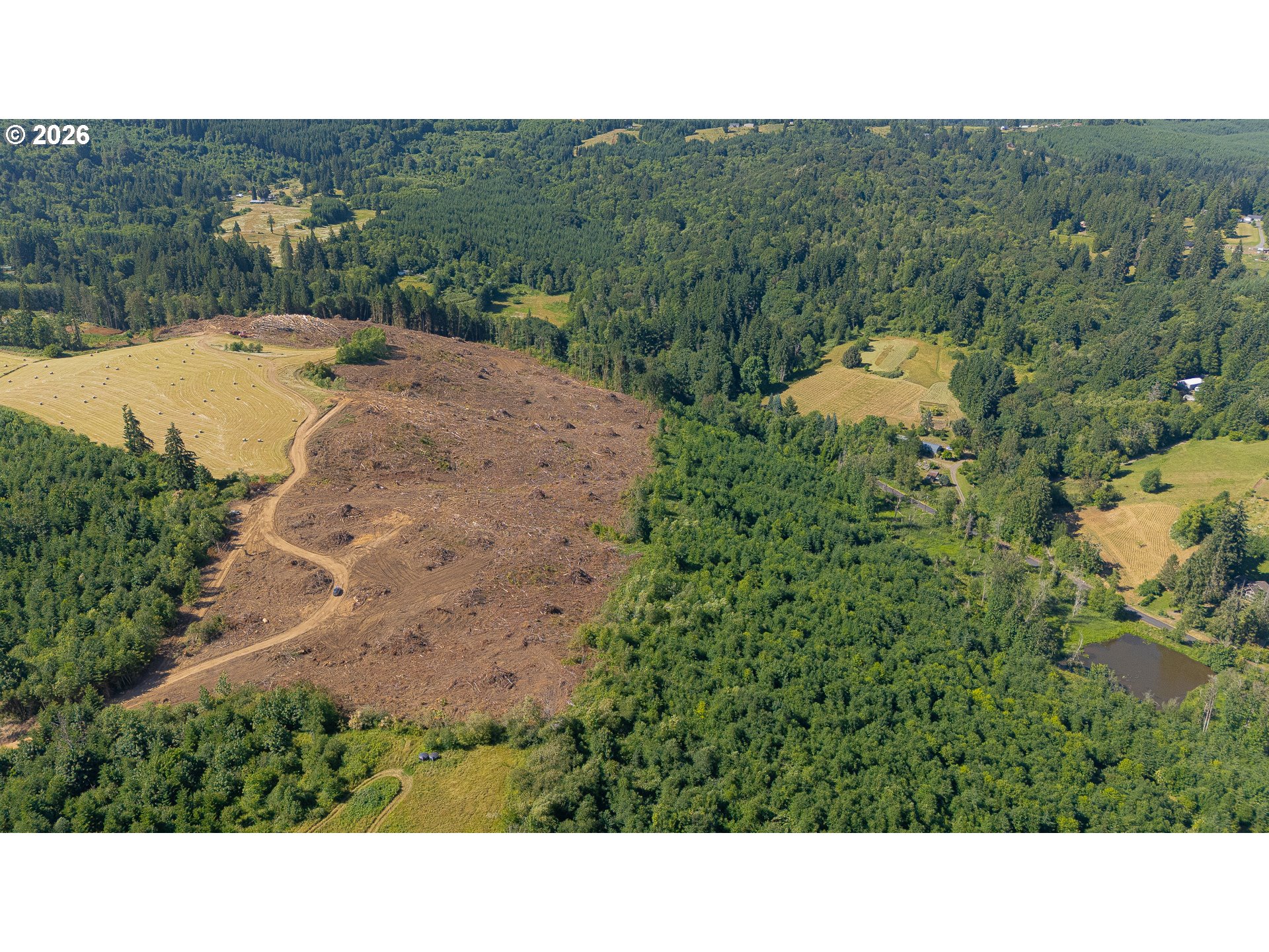 Land in Rainier