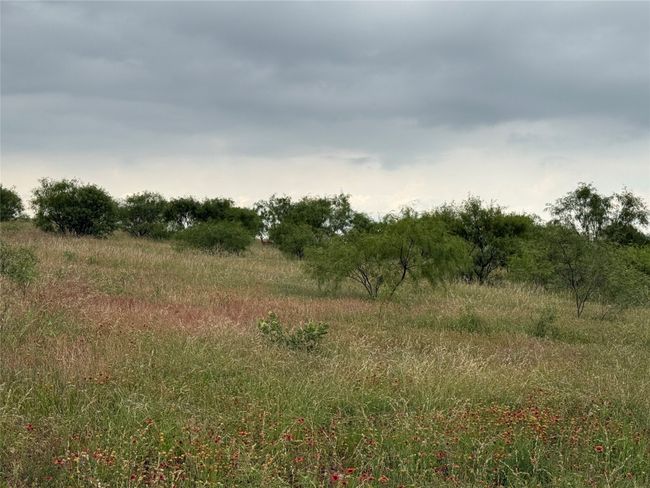 0000 Turtle Hole Rd, Home with 0 bedrooms, 0 bathrooms and null parking in Graham TX | Image 27