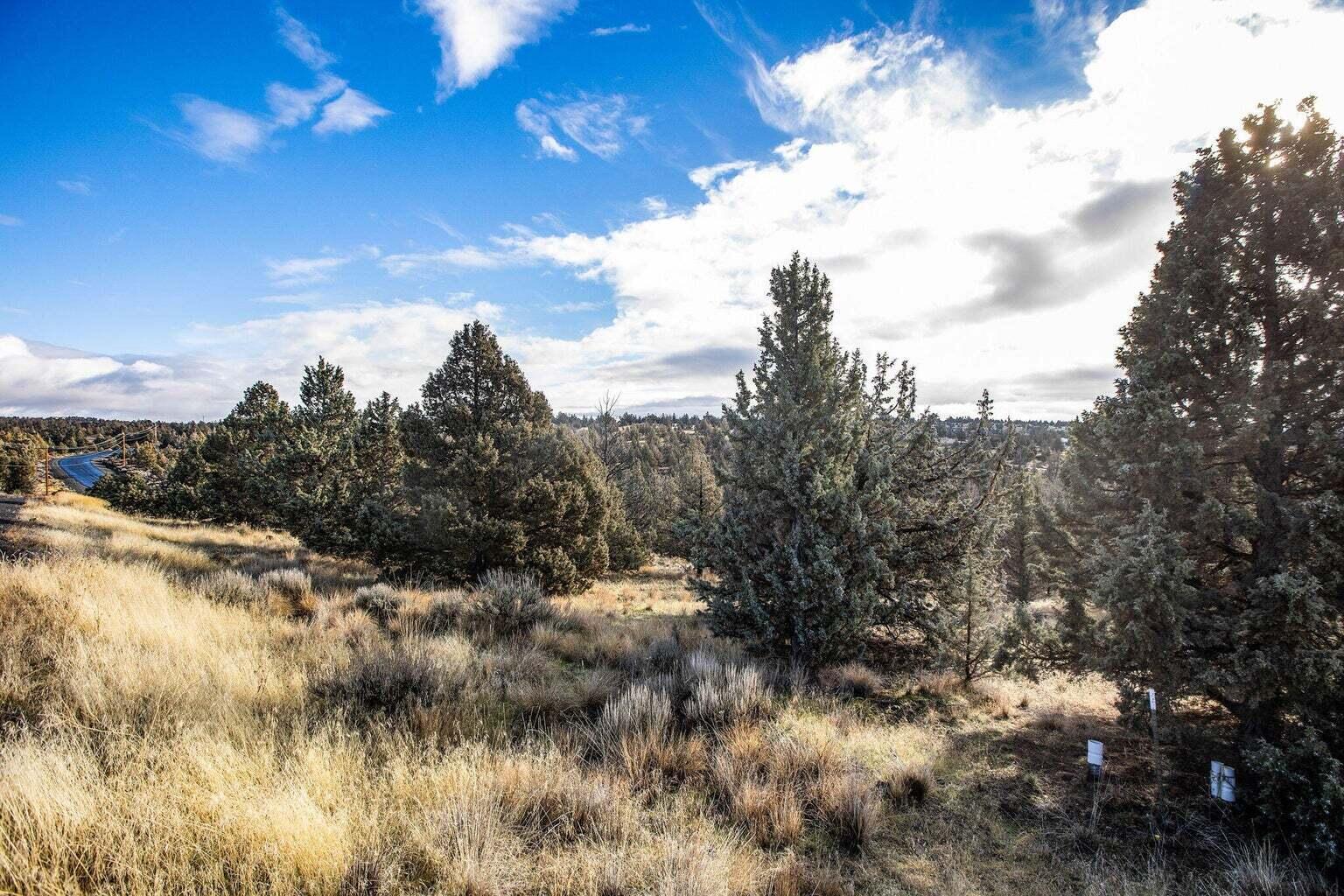 Land in Prineville 5