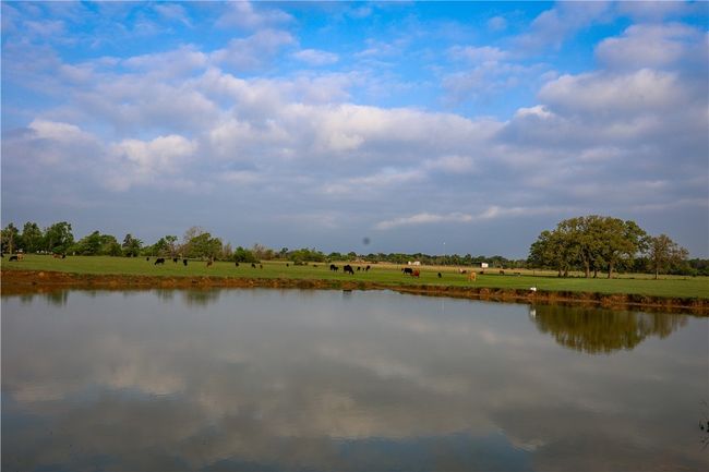 Water view | Image 15