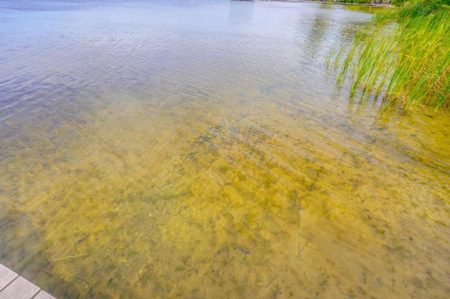 Sandy shoreline | Image 72